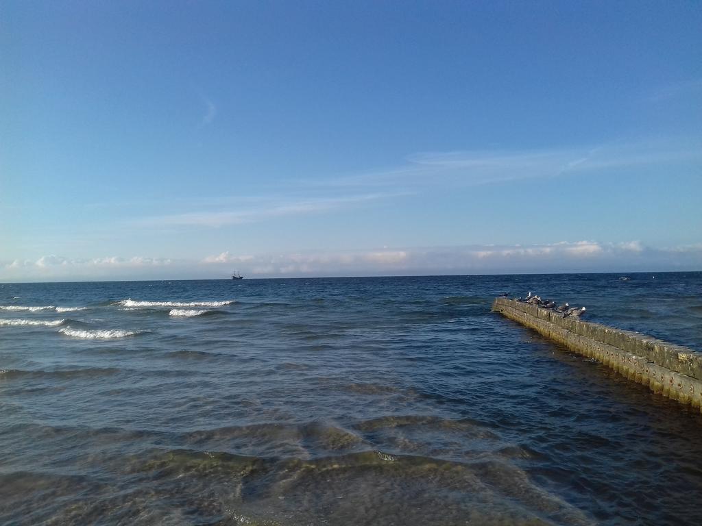 Dolphin House Bed and Breakfast Łeba Εξωτερικό φωτογραφία