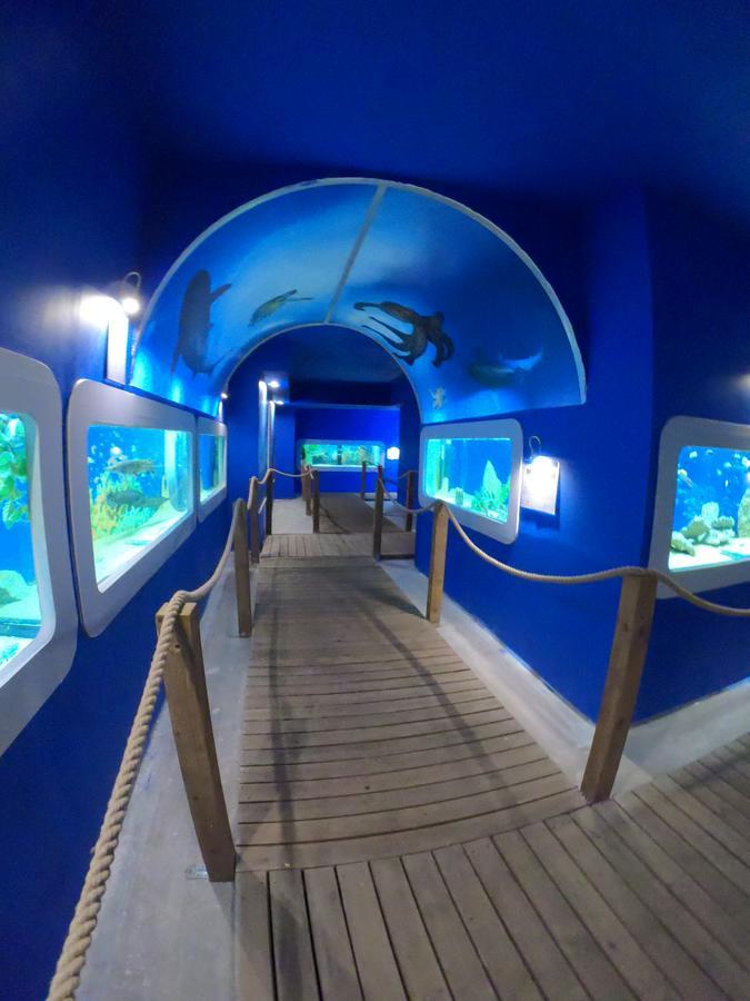 Dolphin House Bed and Breakfast Łeba Εξωτερικό φωτογραφία
