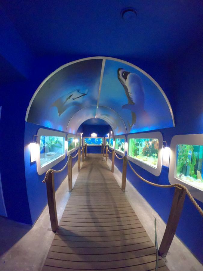 Dolphin House Bed and Breakfast Łeba Εξωτερικό φωτογραφία