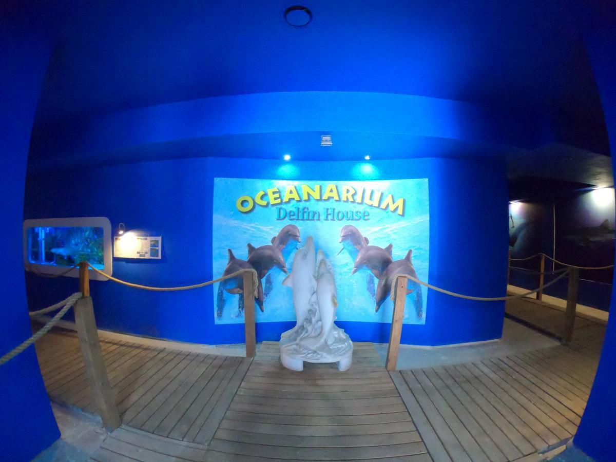 Dolphin House Bed and Breakfast Łeba Εξωτερικό φωτογραφία
